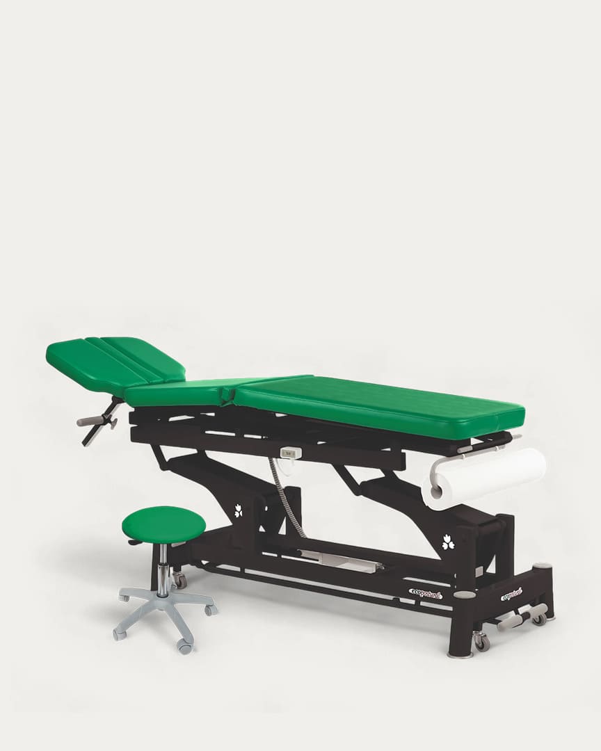 Camilla de osteopatía Ecopostural eléctrica C5691