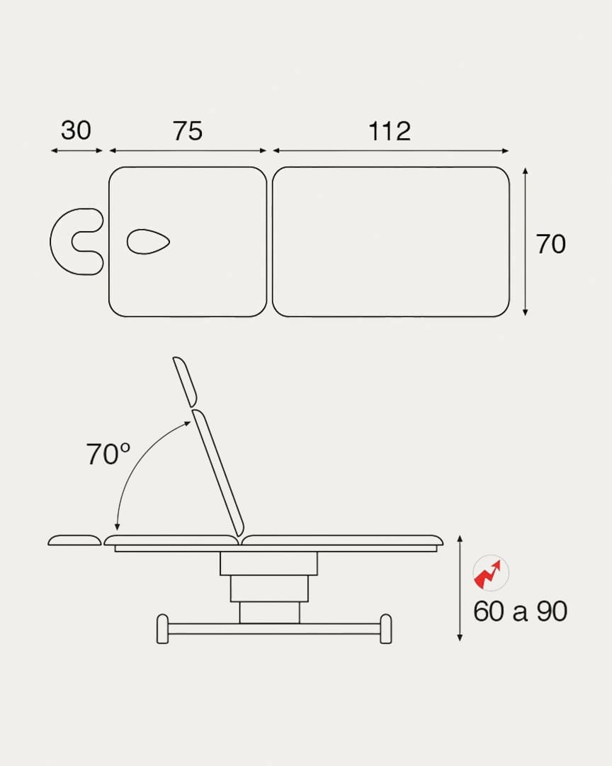 C6202 camilla dos cuerpos eléctrica Ecopostural