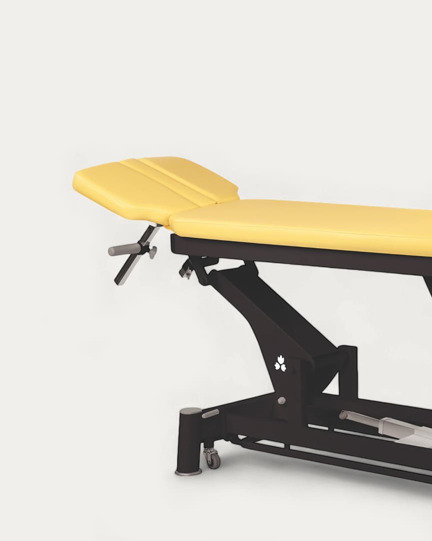 Camilla Ecopostural eléctrica C5646