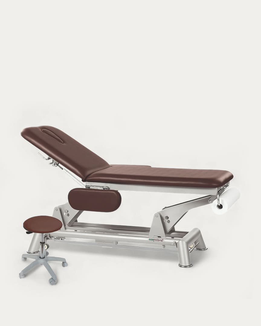 Camilla eléctrica 2 cuerpos con reposabrazos Ecopostural C5934