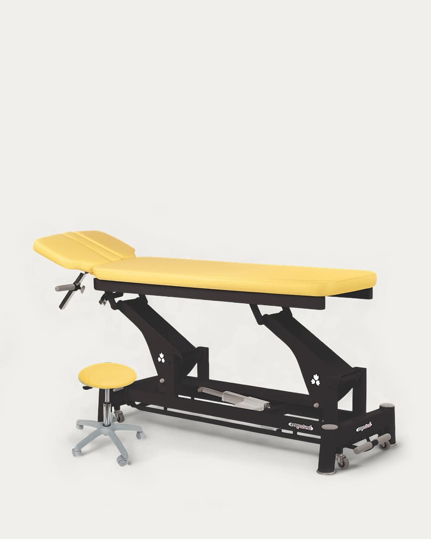 Camilla eléctrica Ecopostural C5646