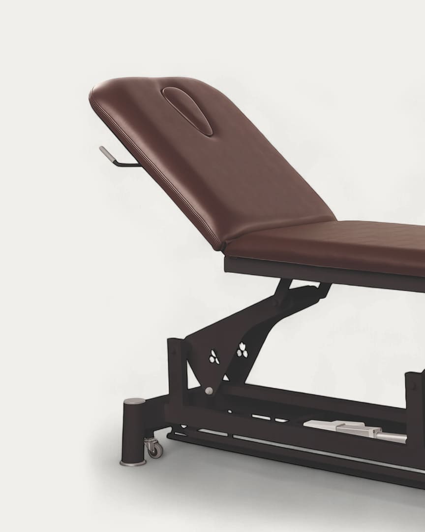 Camilla Ecopostural C5633 eléctrica