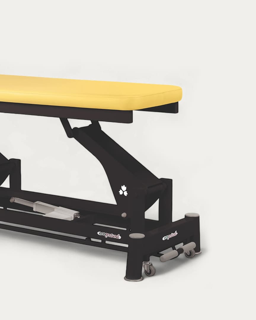 C5646 camilla Ecopostural eléctrica