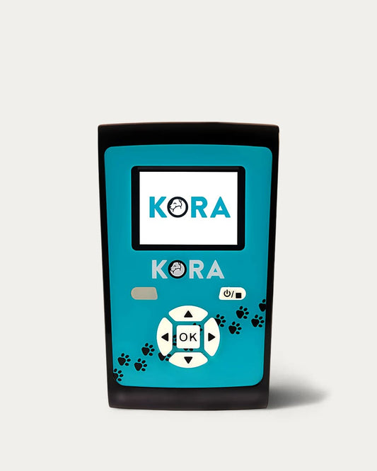 Kora magnetoterapia veterinaria