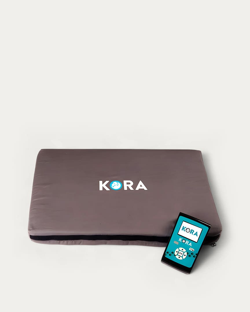 Magnetoterapia veterinaria Kora