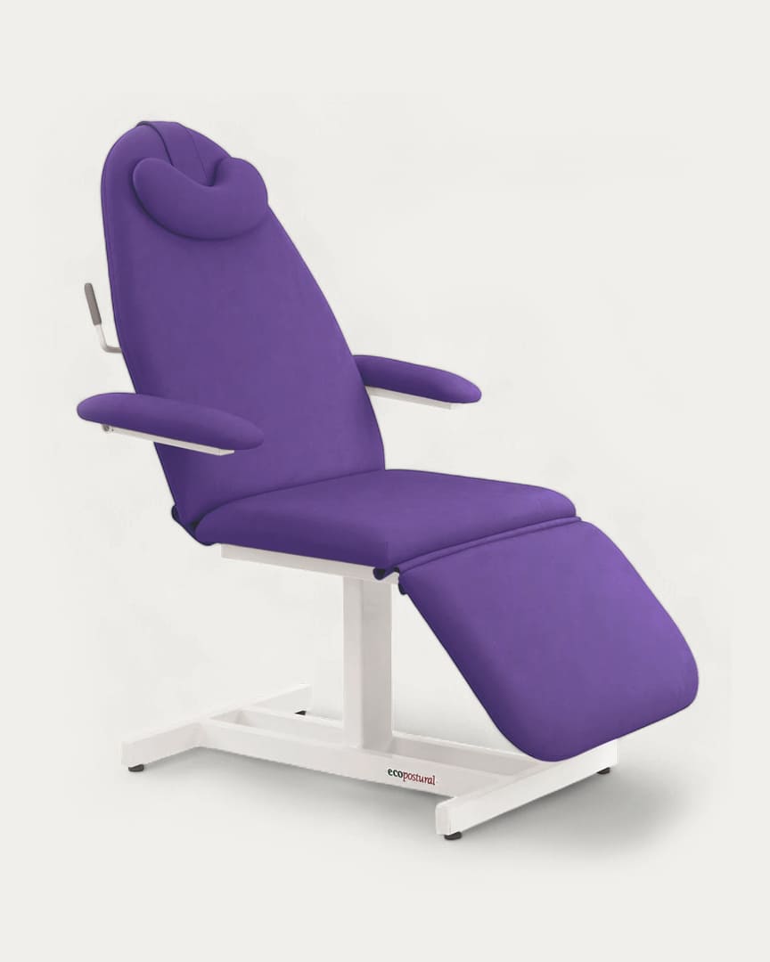 Sillón geriátrico Ecopostural C4371