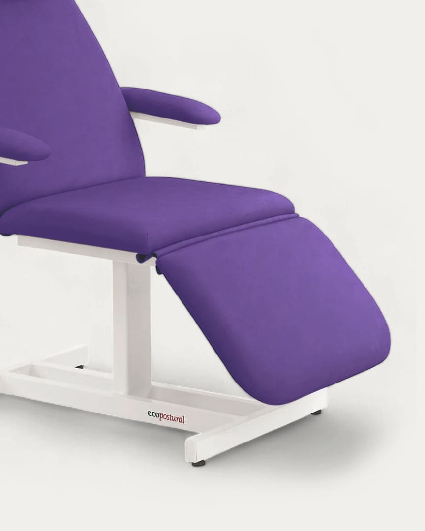 Sillón geriátrico Ecopostural C4371 reposapiés