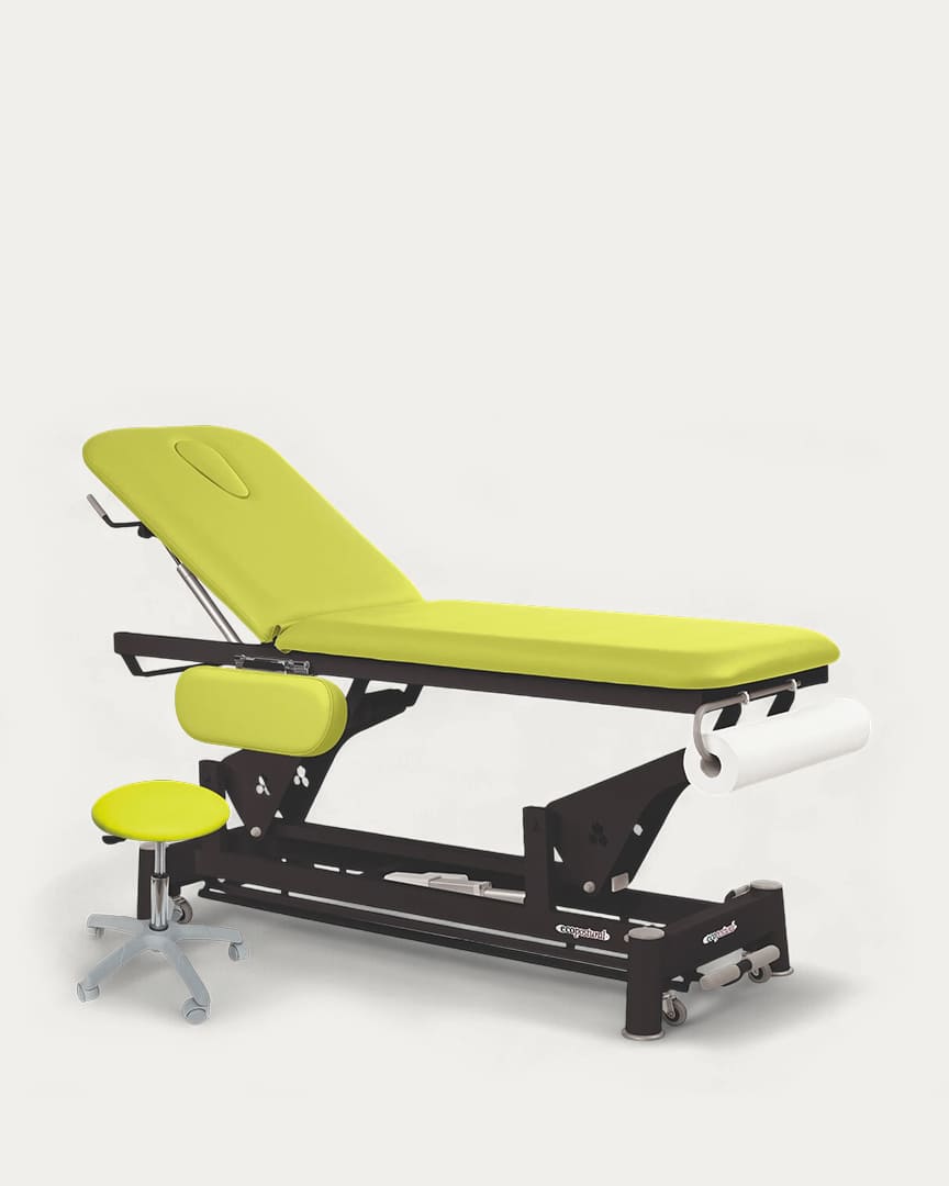 Camilla Ecopostural eléctrica C5651